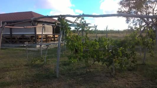 Усадьба Саркел - 27