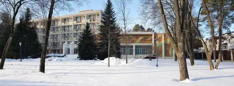 ЖМЗ - 9