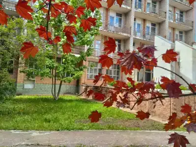 ЖМЗ - 2