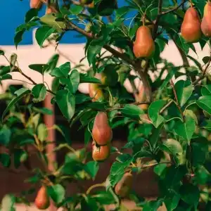 Казачий хуторок - 2