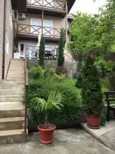 Новый сезон - 0
