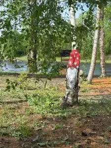 Отдых в тишине у реки - 70