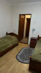 Золотой мустанг - 14