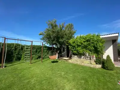 Летний сад - 0