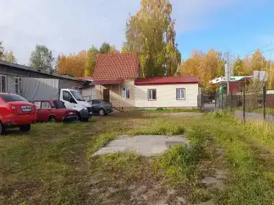 Брусника - 11