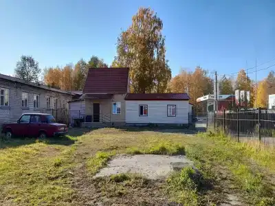 Брусника - 12