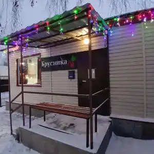 Брусника - 4