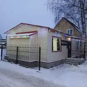 Брусника - 1
