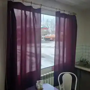 Брусника - 6
