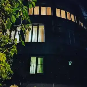 Лаванда - 2
