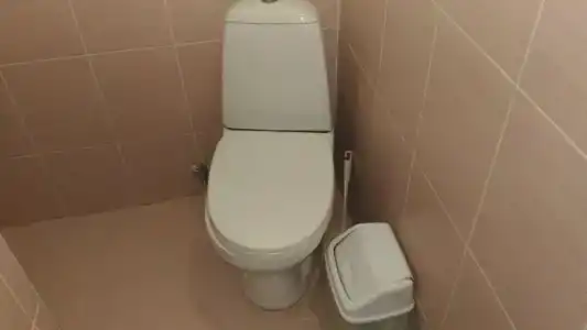 СимСим - 25