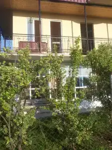 Арчи - 36