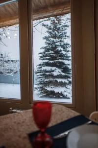 Mary Inn - 8