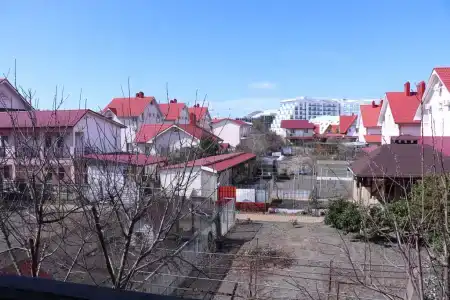 Маргарита - 3