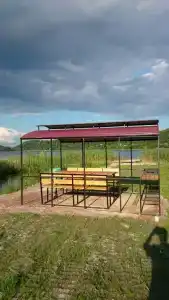 Lintu - 5