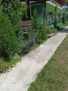 Жемчужина - 2