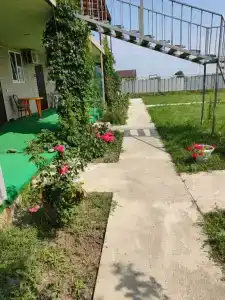 Жемчужина - 7