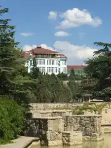 Воробьиное гнездо - 14