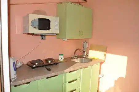 Орхидея - 4