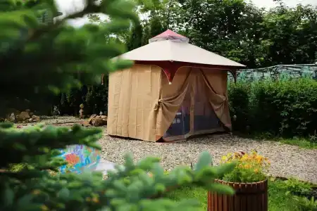 Золотой Гусь - 6