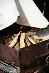 Золотой Гусь - 1
