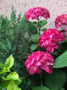 Морской прибой - 4