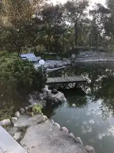 Домик у озера - 78