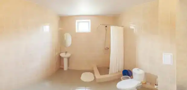 Виолетта - 47