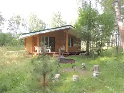 Шале в лесу в Подмосковье - 43