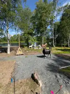 Отдых в тишине у реки - 107