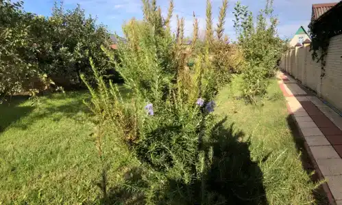 Дача на берегу моря на Мира - 23
