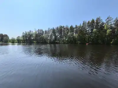 Семь сосен - 23