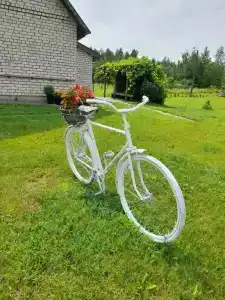 Белый Кролик - 41