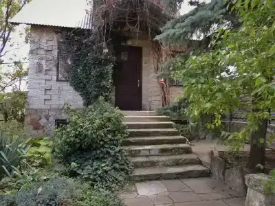 Дом с орехом во дворе - 10