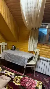 Золотой мустанг - 26