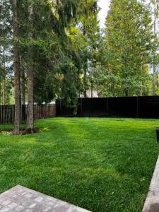 Дом в сосновом лесу - 44