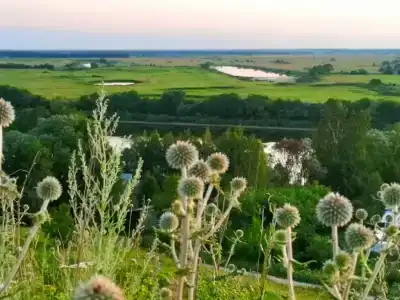 LesDankin - 125