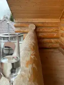 Дом у леса - 20