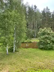 Гостевой хутор Кустурица - 24