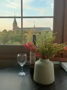 Квартиры на Старопрегольской набережной 16 - 183