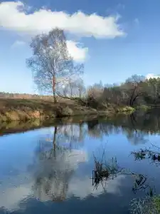Сказочный коттедж с бассейном на Белой Горе - 18