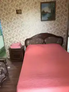 Кипарис - 132