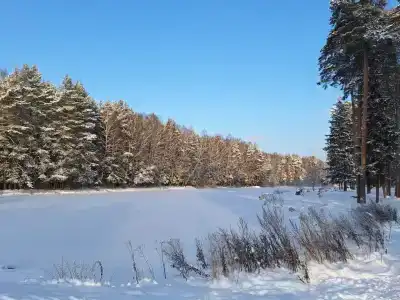 Домики в Заветах - 37