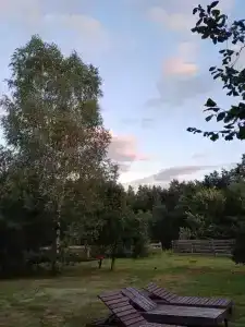 Лесной уголок - 33