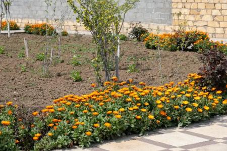 Уютные коттеджи рядом с морем - 12