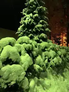 Гостевой дом Плещеево - 13