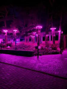 Вилла Котра - 18