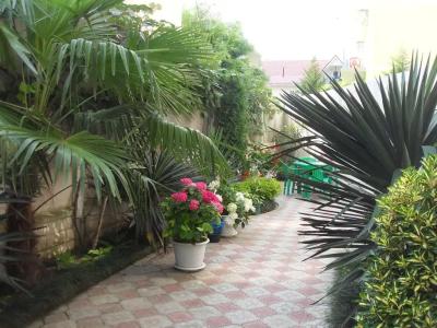 Mishel House - 1