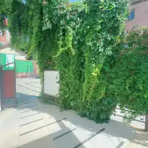 Антонида - 13