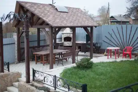 Ирис - 1